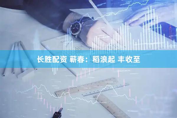 长胜配资 蕲春：稻浪起 丰收至