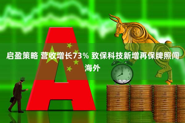 启盈策略 营收增长73% 致保科技新增再保牌照闯海外
