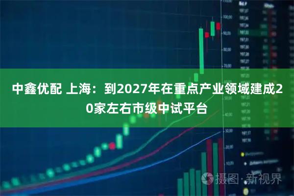 中鑫优配 上海：到2027年在重点产业领域建成20家左右市级中试平台