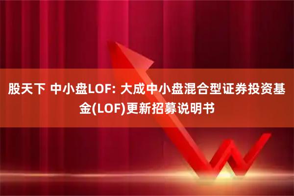 股天下 中小盘LOF: 大成中小盘混合型证券投资基金(LOF)更新招募说明书