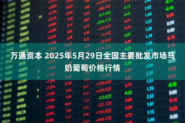 万通资本 2025年5月29日全国主要批发市场马奶葡萄价格行情