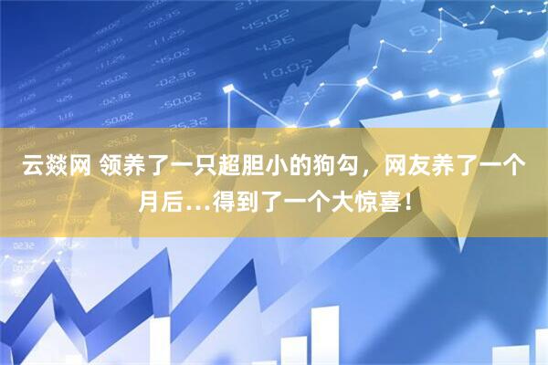 云燚网 领养了一只超胆小的狗勾，网友养了一个月后…得到了一个大惊喜！