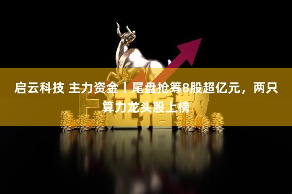 启云科技 主力资金丨尾盘抢筹8股超亿元，两只算力龙头股上榜